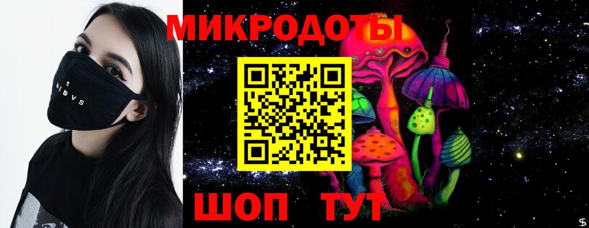 Галлюциногенные грибы прущие грибы Гатчина