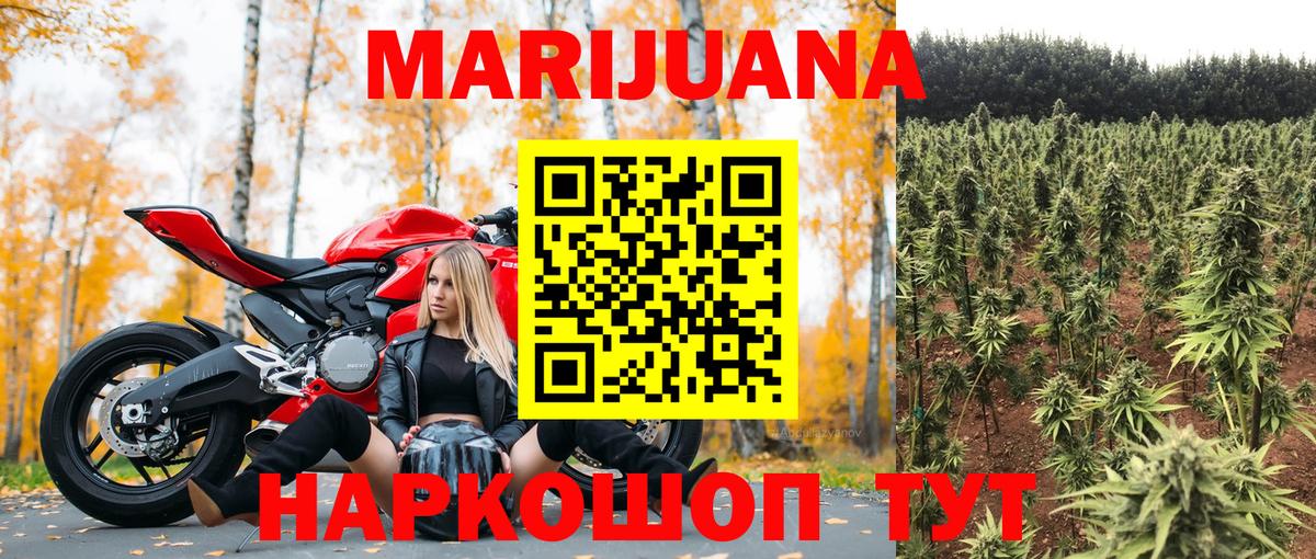 Гатчина  МАРИХУАНА Amnesia  Каннабис конопля  Вход с VPN  Шишки марихуана планчик 