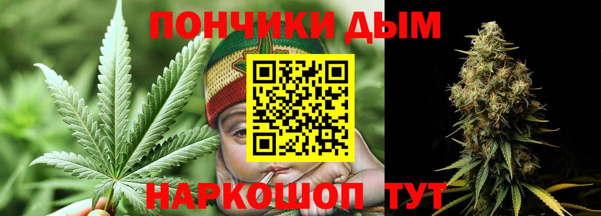Каннабис ГИДРОПОН Гатчина